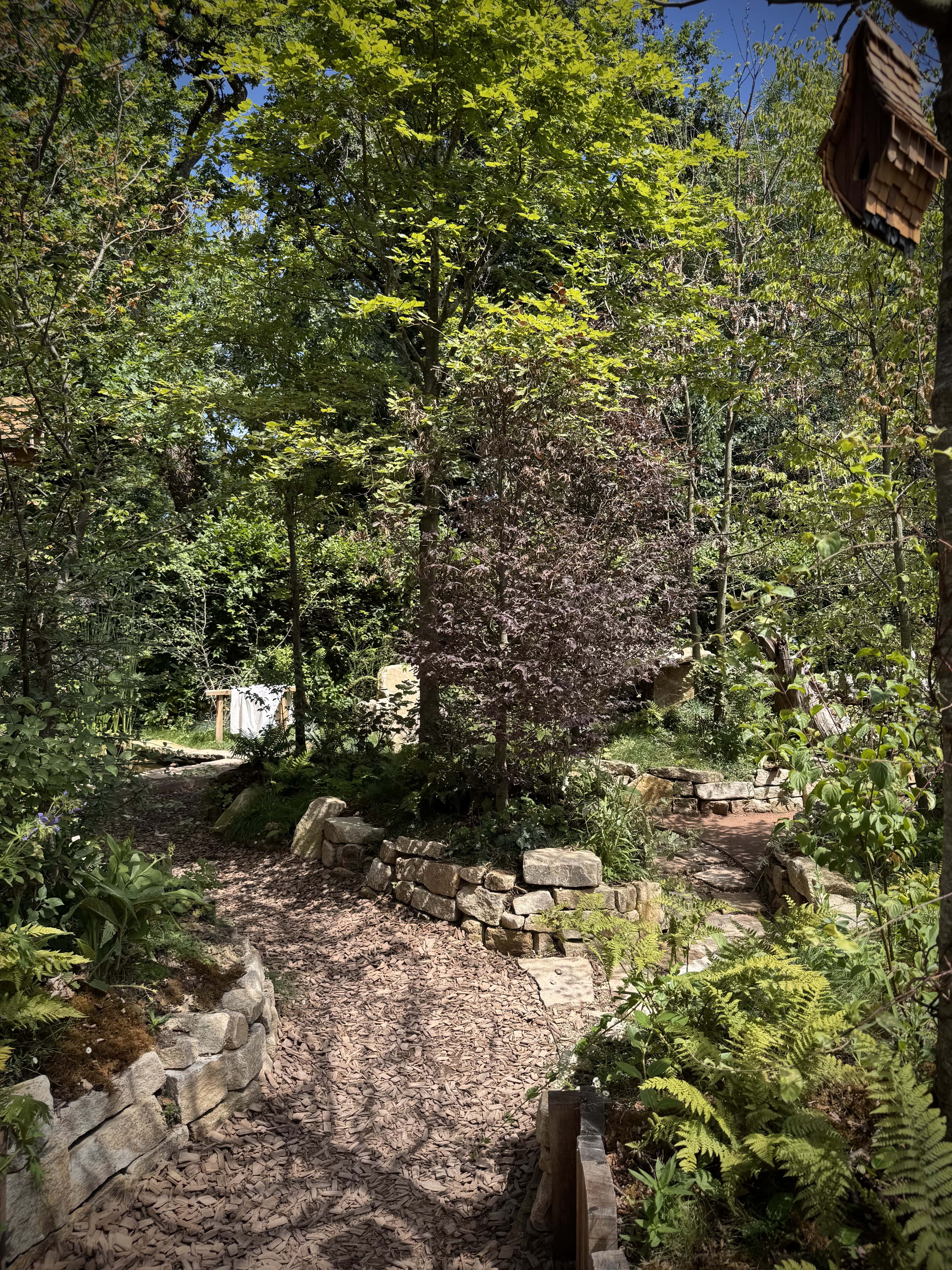 Forêt composée de grands arbres bretons, avec des nichoirs et des maisons de korrigans